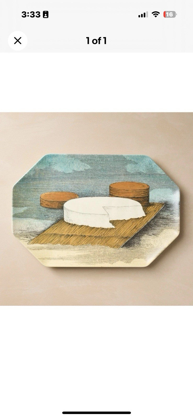 John Derian Target Thanksgiving Fall Melamine Hexagon Cheese Serving Platter New
