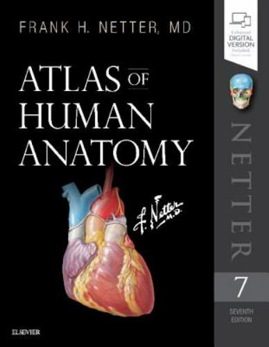 Netter Basic Science Ser.: Atlas of Human Anatomy by Frank H. Netter (2018,...
