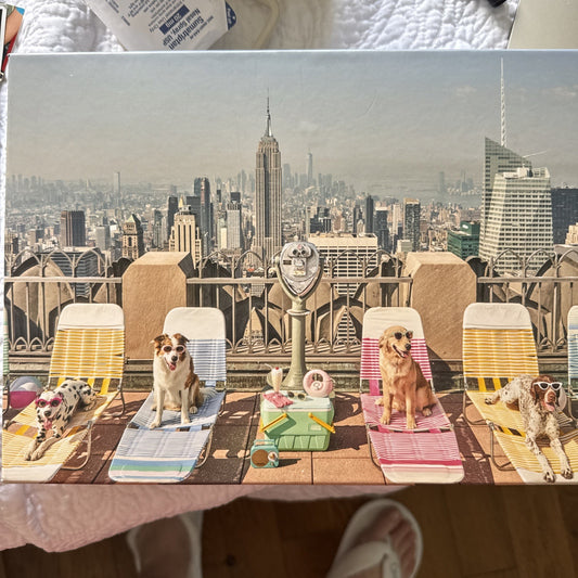 Gray Malin the Dogs of New York City 1000 Piece Puzzle by Galison (2023,...